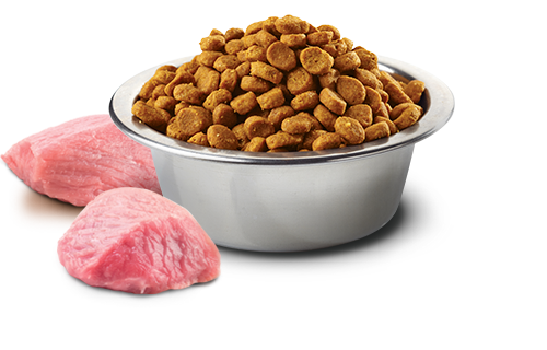 N&D Prime - Wildschwein & Apfel Trockenfutter