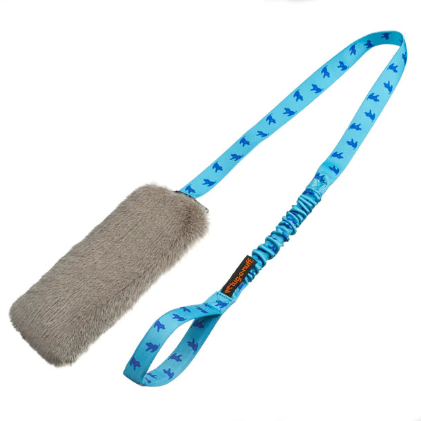 Bungee Chaser - Zerrspielzeug mit Quietschi - hellblau/blau
