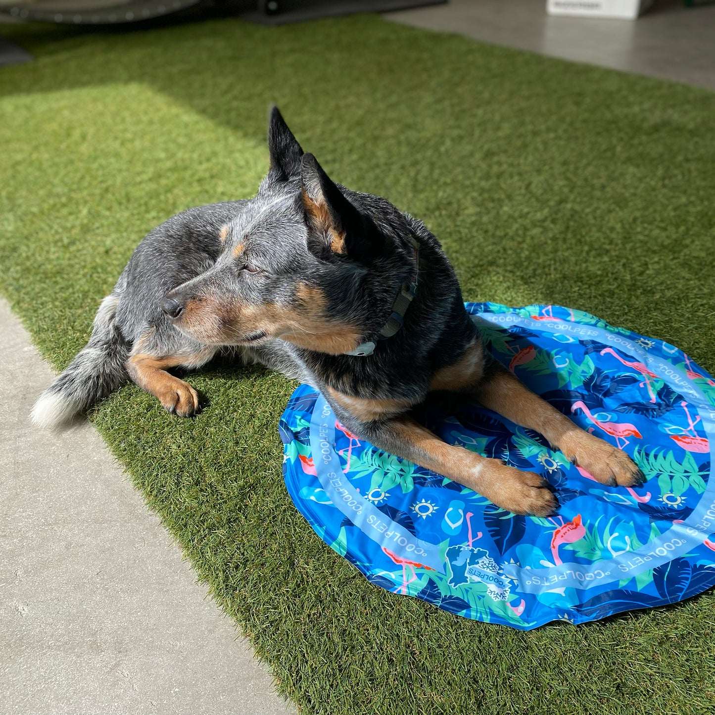 Kühlmatte - CoolingMat rund