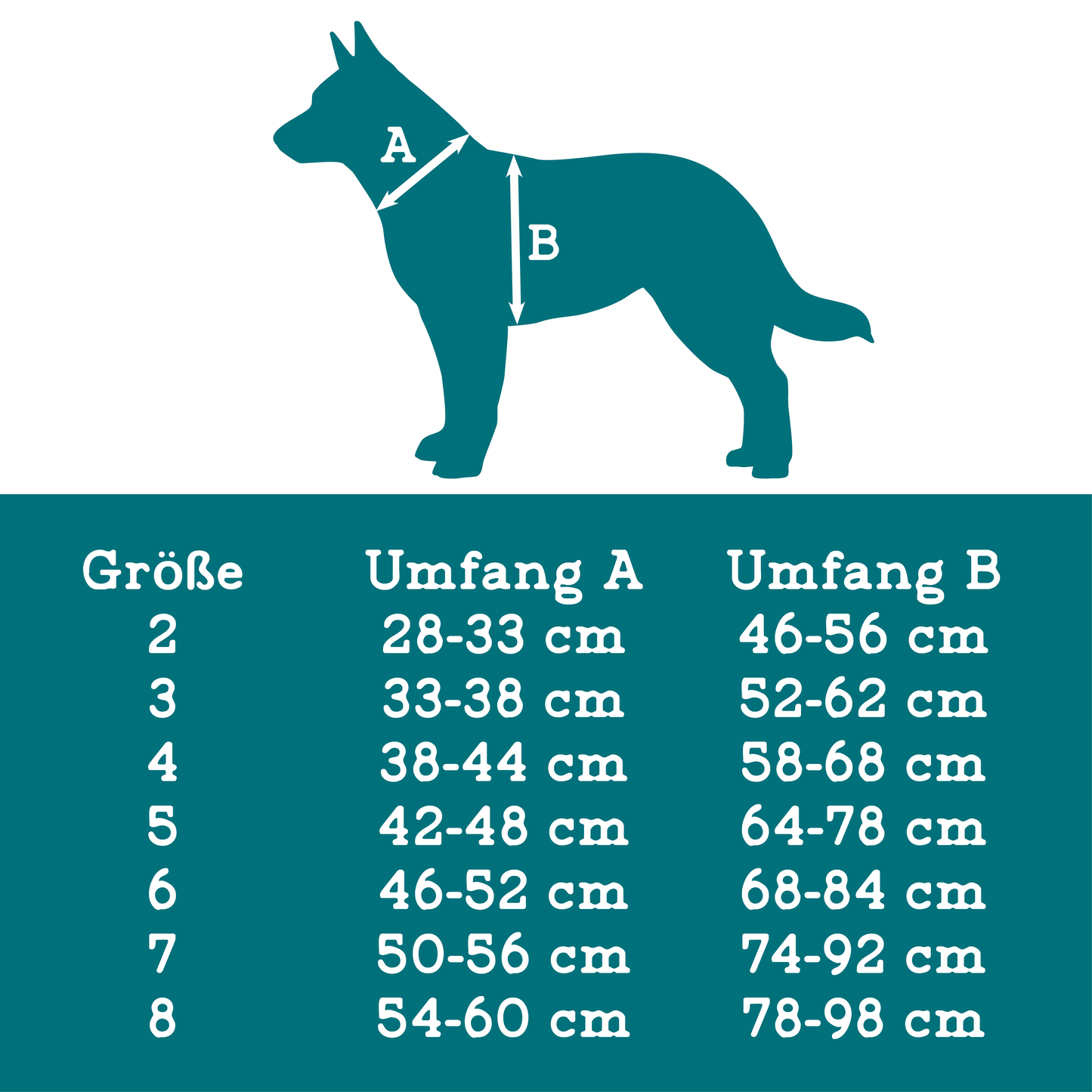 OFTY-Geschirr für Hunde, in verschiedenen Größen erhältlich, passt sich perfekt an den Körper Ihres Hundes an und sorgt für höchsten Komfort bei allen Aktivitäten.