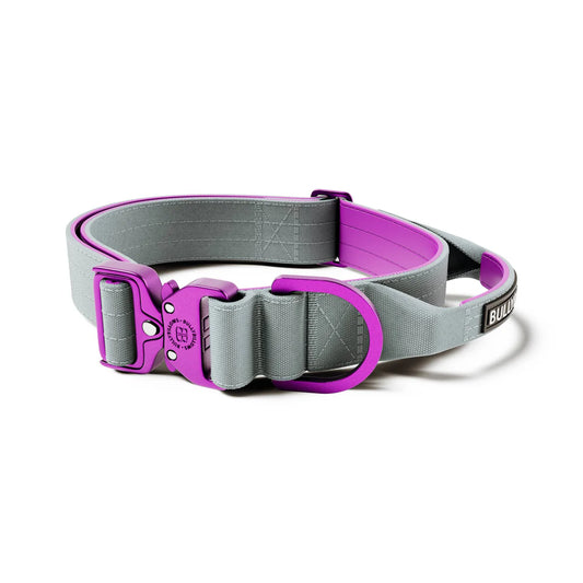 Tactical Halsband - light Weight - grau-lila