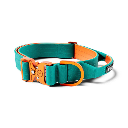 Tactical Halsband - light Weight - türkis-orange