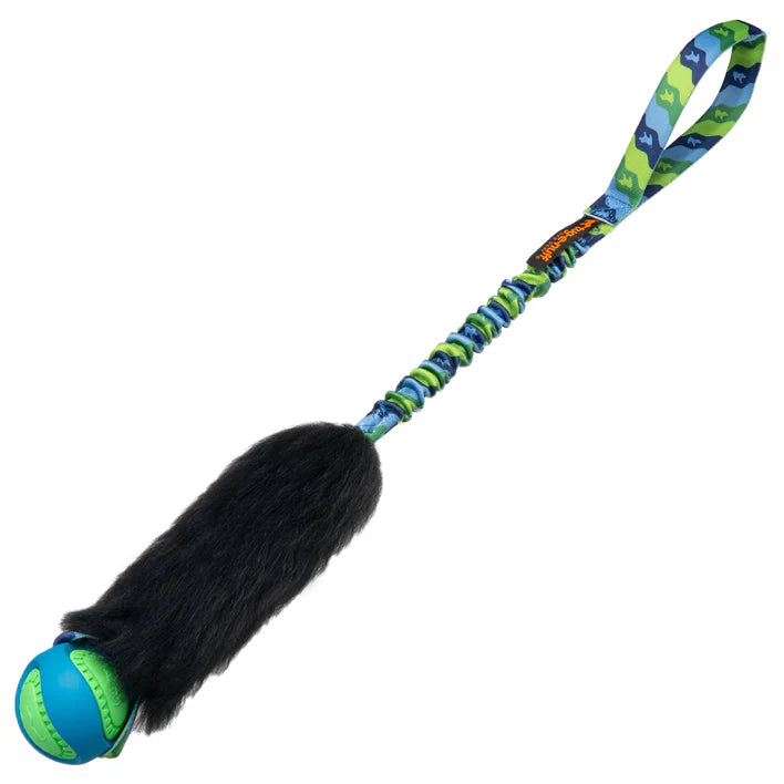 Wondabaa PowerBall Bungee grün/blau