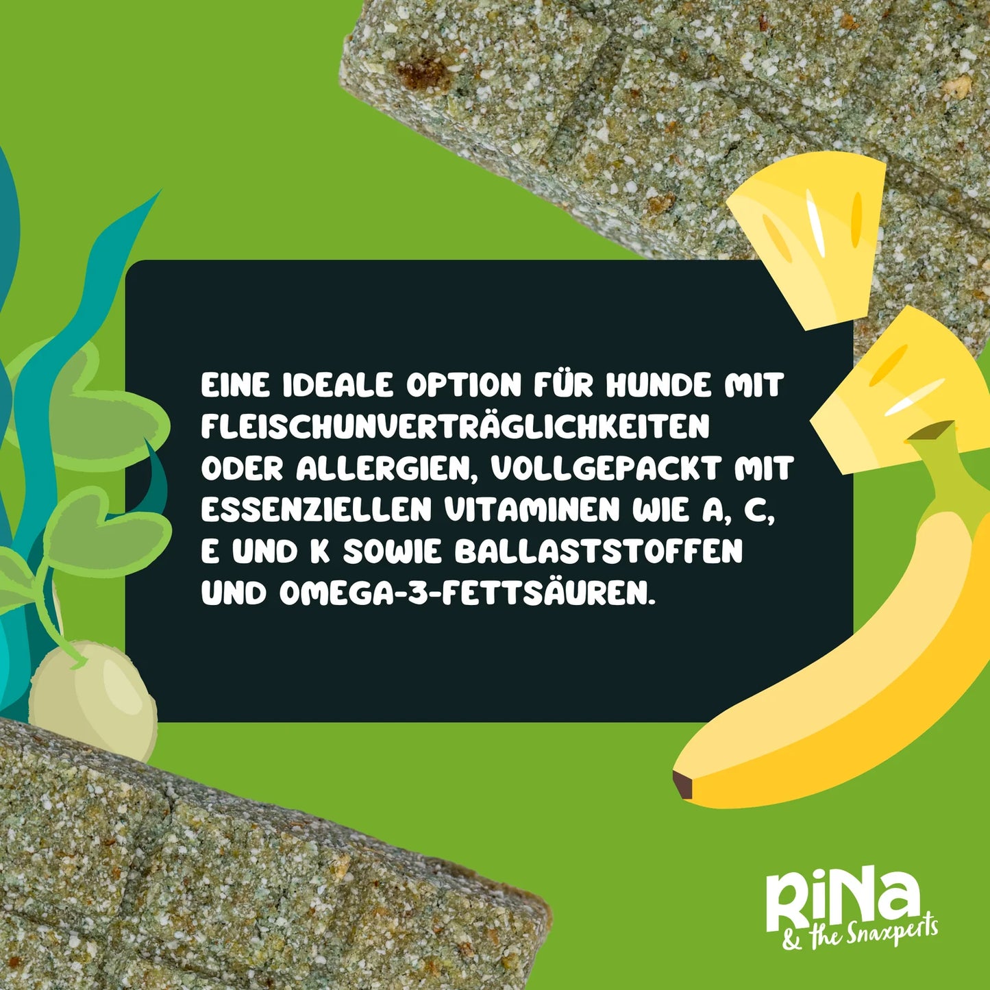 Gourmet Riegelbox VIVA VEGAN