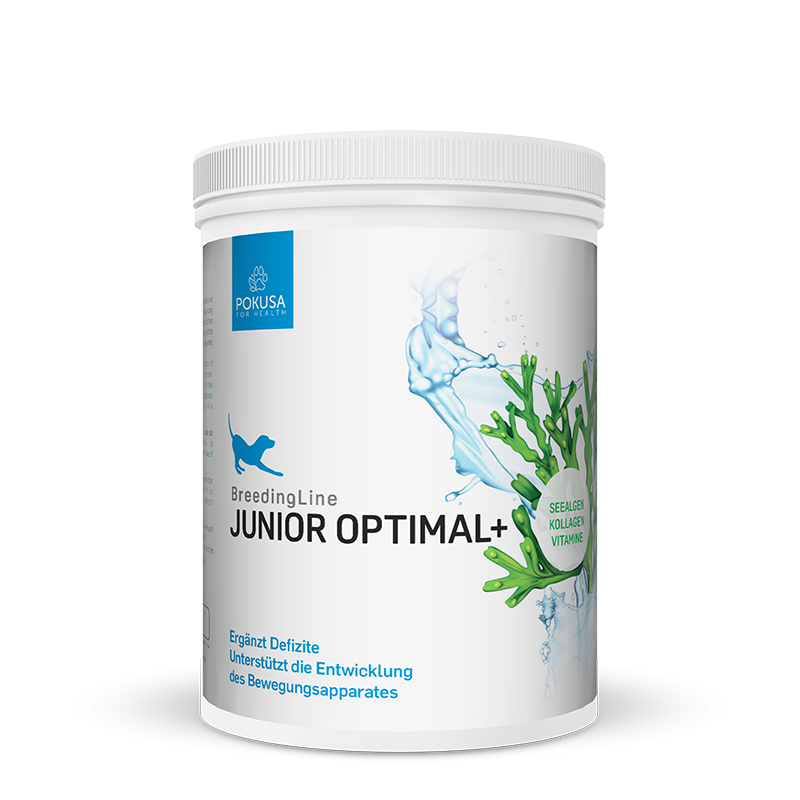 Junior Optimal+ 700g