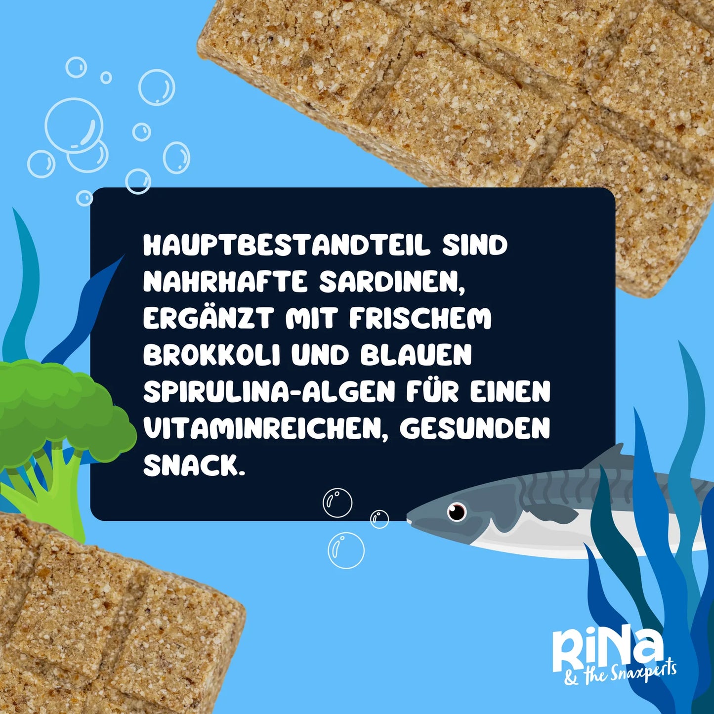 Gourmet Riegelbox SUPER SARDINE