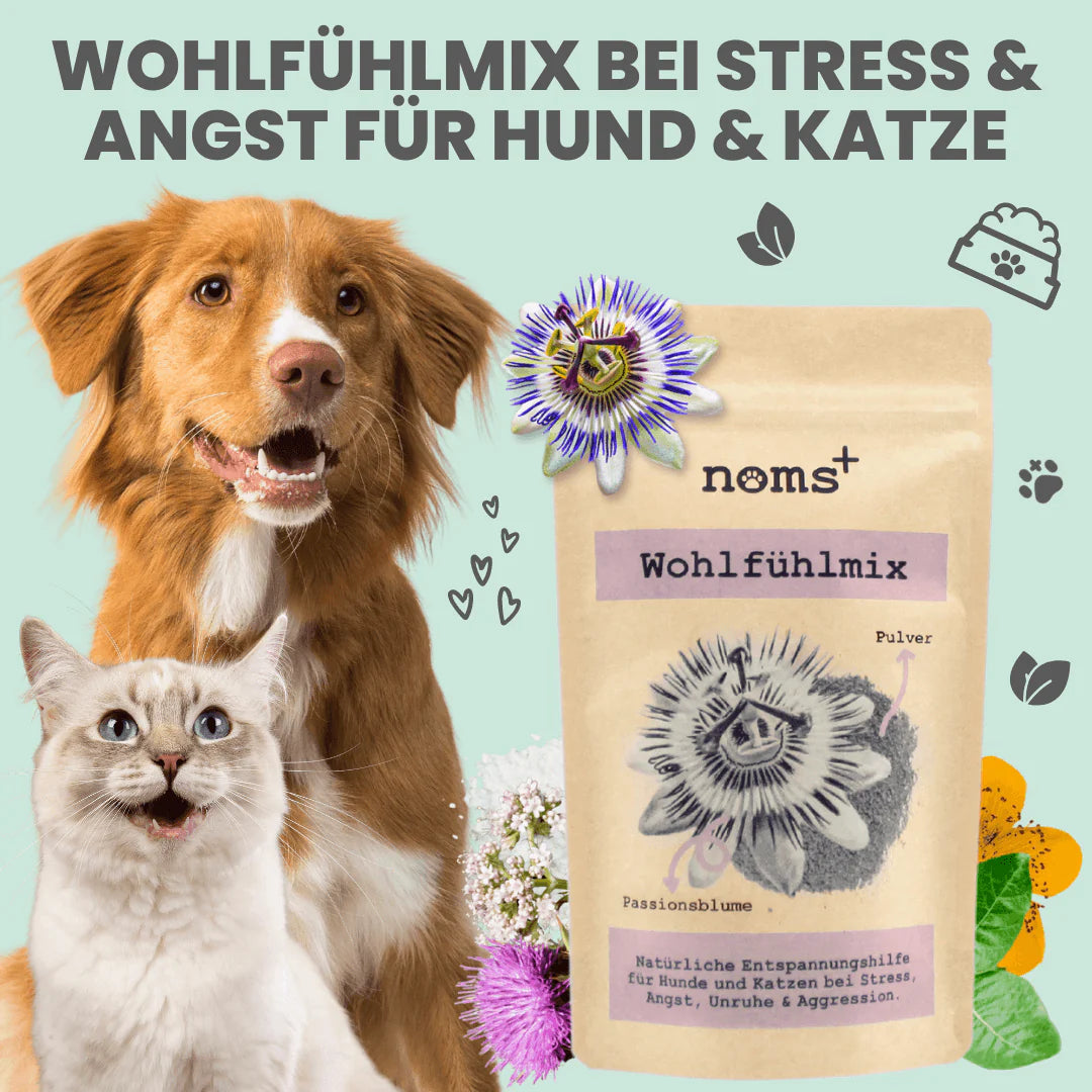Wohlfühlmix für Hunde 150g