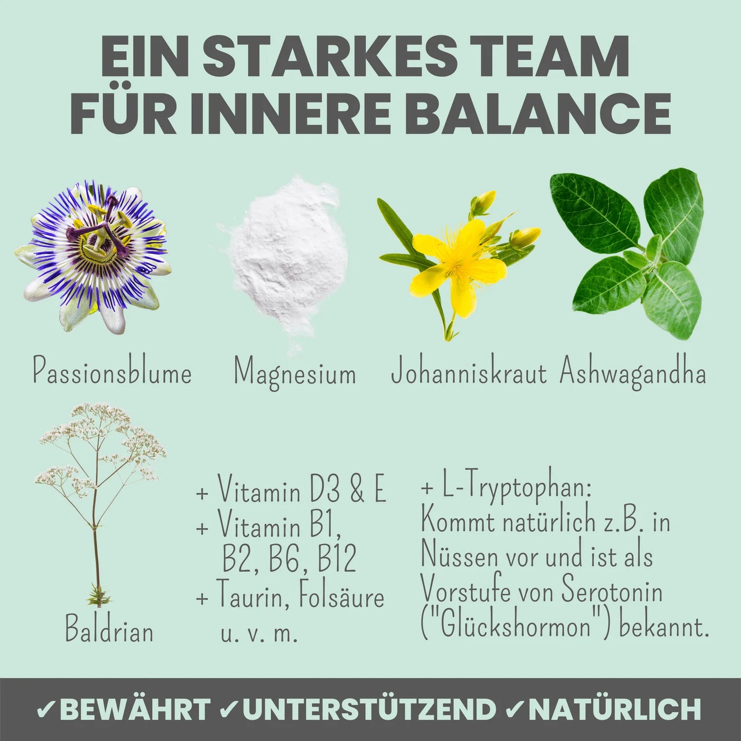 Wohlfühlmix für Hunde 150g