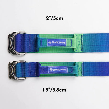 Tactical Halsband 3,8cm breit - grün-blau