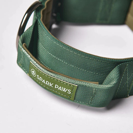 Tactical Halsband 5cm breit - dunkelgrün