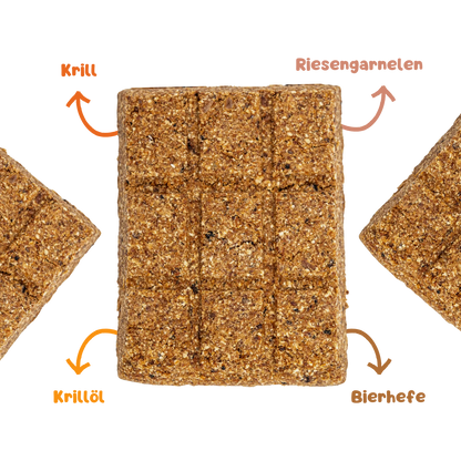 Superfood Riegelbox KRILL KICK