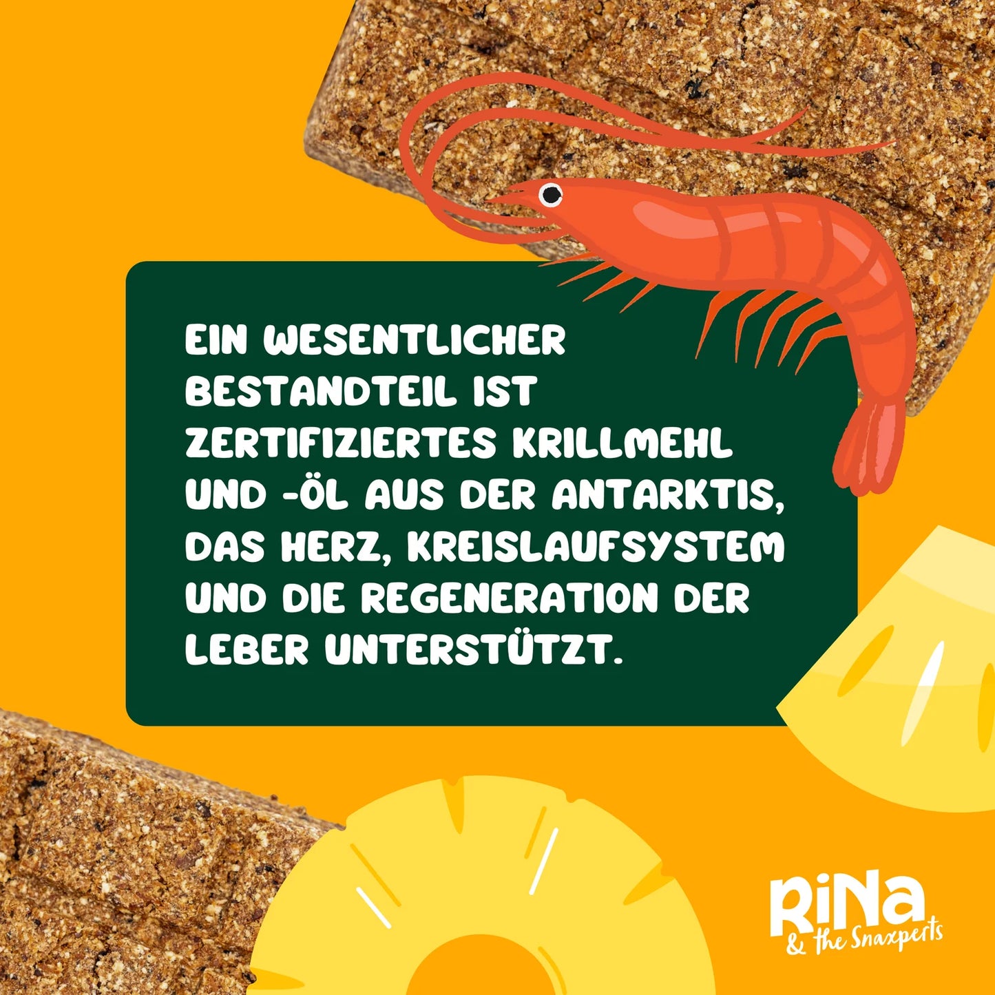 Superfood Riegelbox KRILL KICK