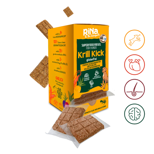 Superfood Riegelbox KRILL KICK