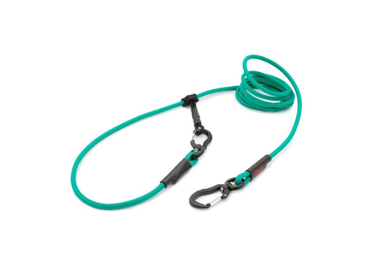 Easylong Twist Hundeleine SMALL grün