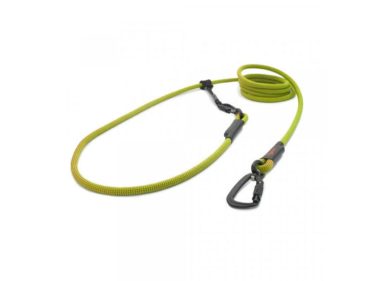 Easylong Twist Hundeleine MEDIUM grün mit roten Punkten