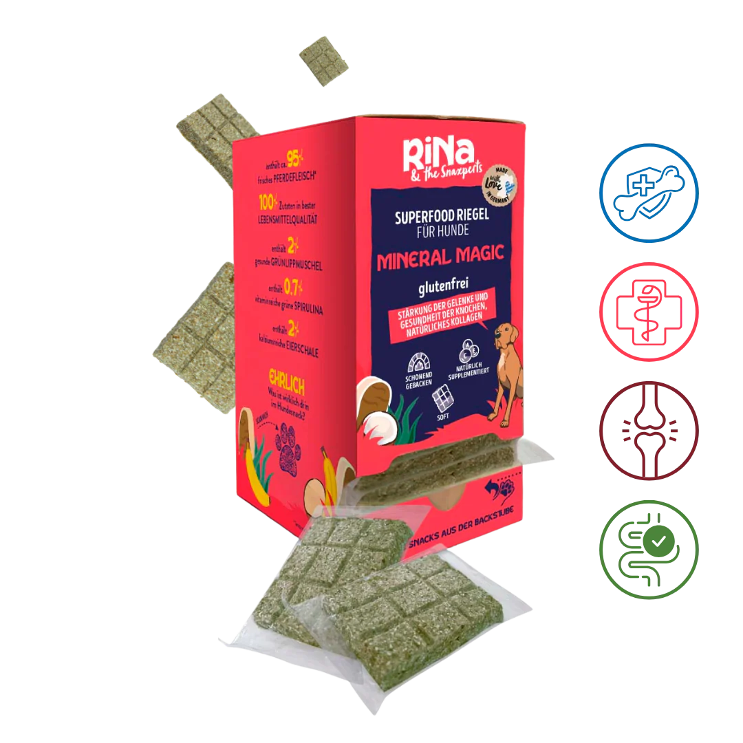 Superfood Riegelbox MINERAL MAGIC