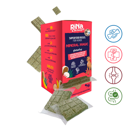 Superfood Riegelbox MINERAL MAGIC