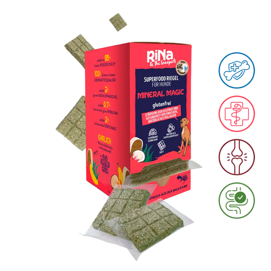 Superfood Riegelbox MINERAL MAGIC