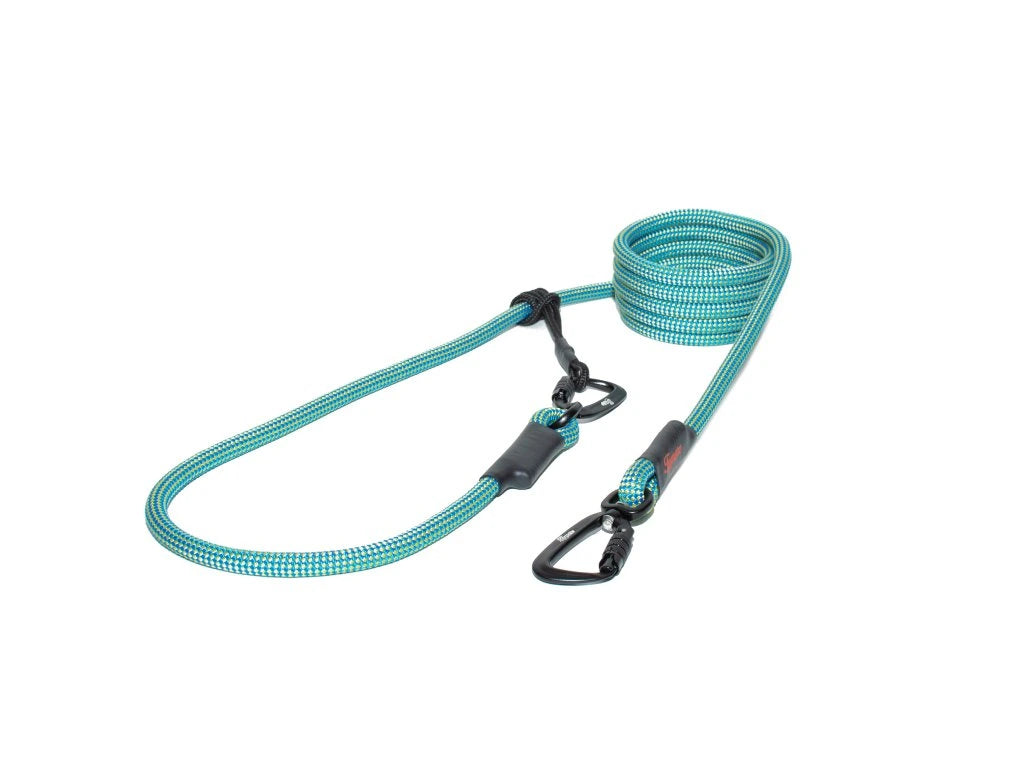 Easylong Twist Hundeleine LARGE blau und gelb