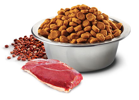 N&D Quinoa Kastrierte Hunde - Ente&Brokkoli Trockenfutter