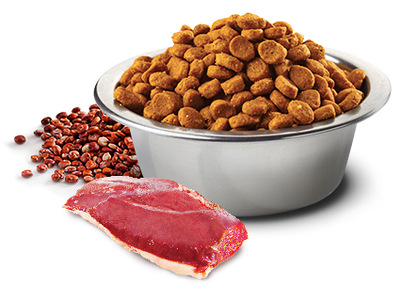 N&D Quinoa Kastrierte Hunde - Ente&Brokkoli Trockenfutter