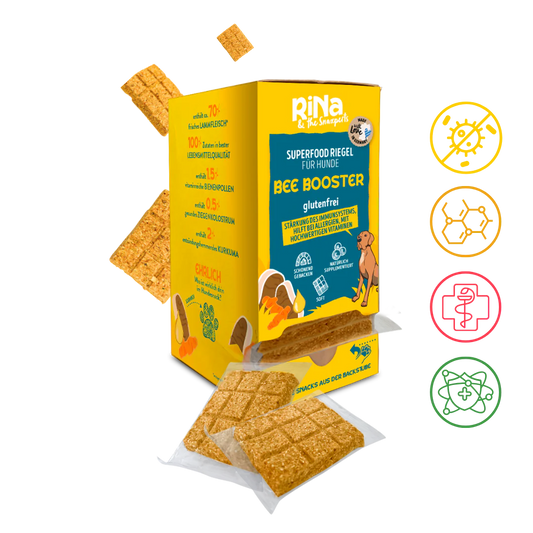Superfood Riegelbox BEE BOOSTER