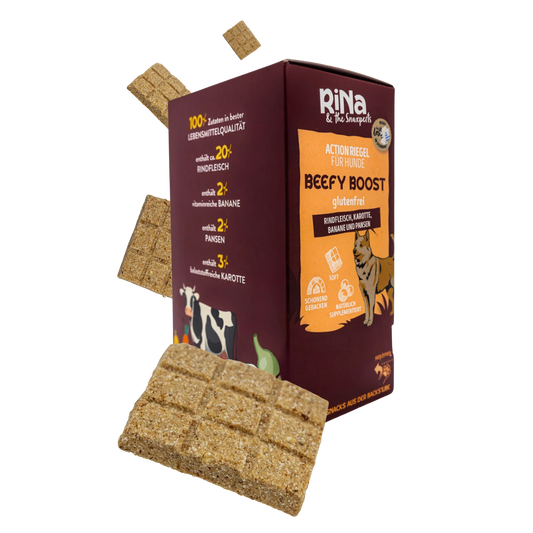 Gourmet Riegelbox BEEFY BOOST