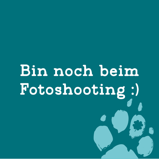 N&D White - Wolfsbarsch & Spirulina Puppy Trockenfutter