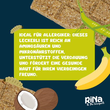 Gourmet Riegelbox BUG BARK