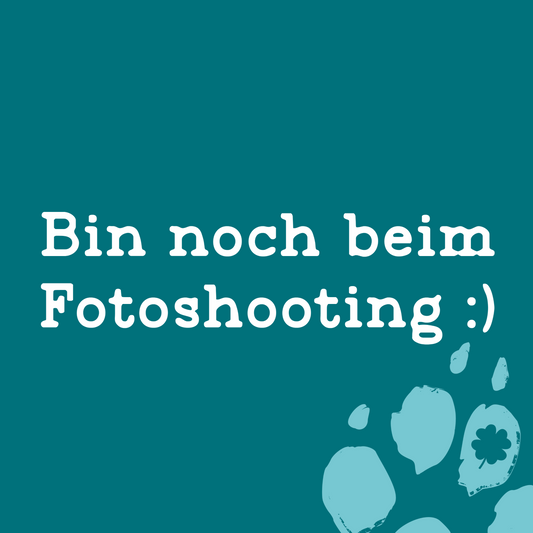 Pfaffinger BARF Kaninchenmenü – Mit Kaninchenfleisch & Knochen, Innereien, Gemüse & Apfel. Proteinreich, fettarm & ohne Zusätze.
