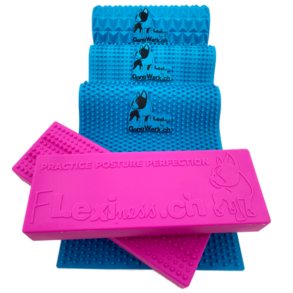 Flexiness Fitnesspackage - 5teilig soft/pink