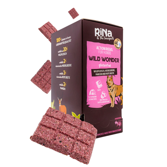 Gourmet Riegelbox WILD WONDER