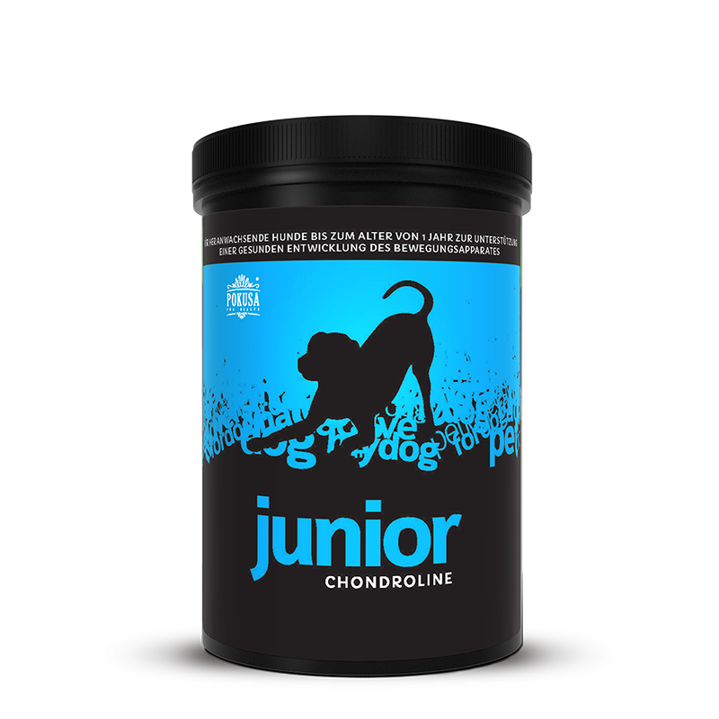 chondroline JUNIOR 350g