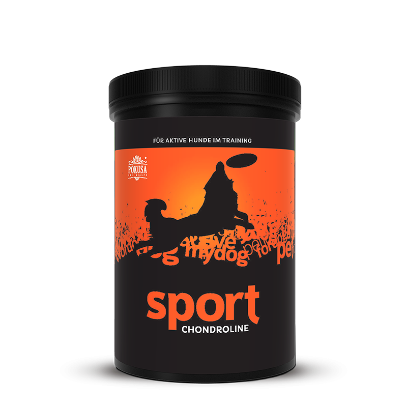 chondroline SPORT 350g