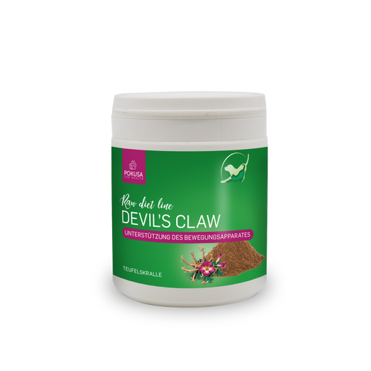 Devil´s Claw 100g