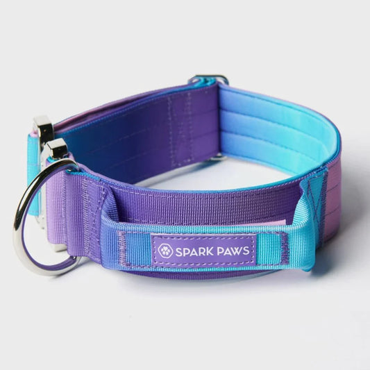 Tactical Halsband 5 cm breit - lila-hellblau