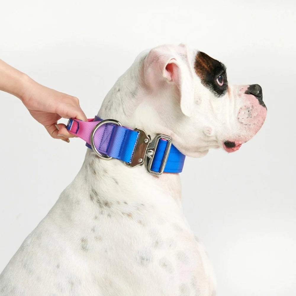 Tactical Halsband 3,8cm breit - pink-blau