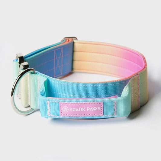 Tactical Halsband 5cm breit - pastell pink/hellblau/gelb