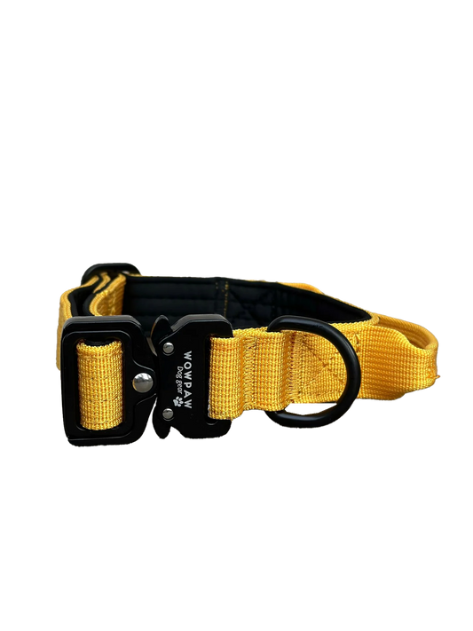 Tactical Halsband - gelb 2,5cm