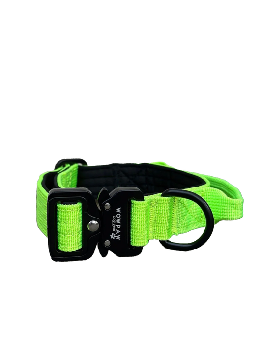 Tactical Halsband - neongrün 2,5cm