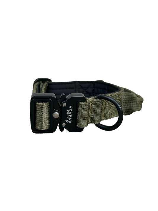 Tactical Halsband - olive 2,5cm