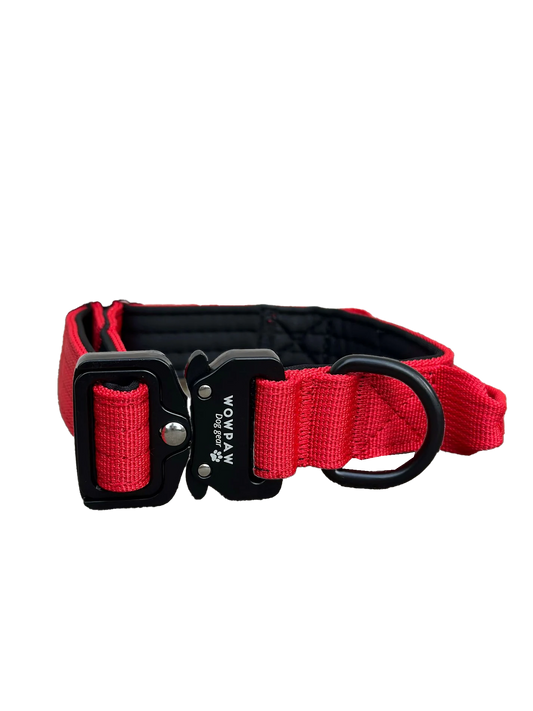 Tactical Halsband - rot 2,5cm