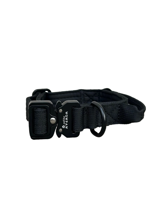 Tactical Halsband - schwarz 2,5cm