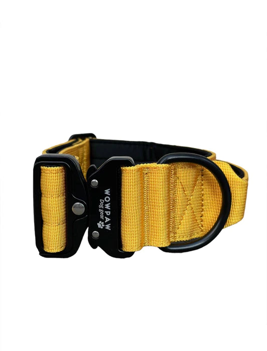 Tactical Halsband - gelb 5cm