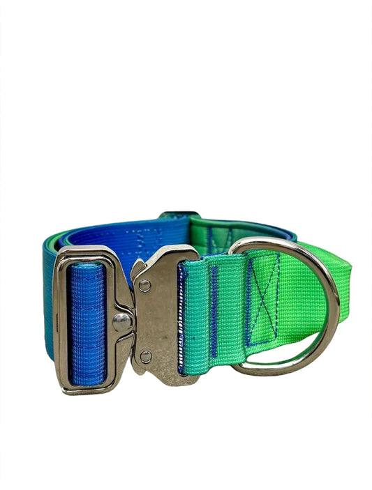 Tactical Halsband - blau-grün 5cm