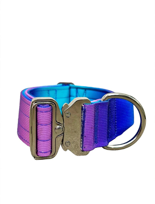 Tactical Halsband - blau-lila 5cm