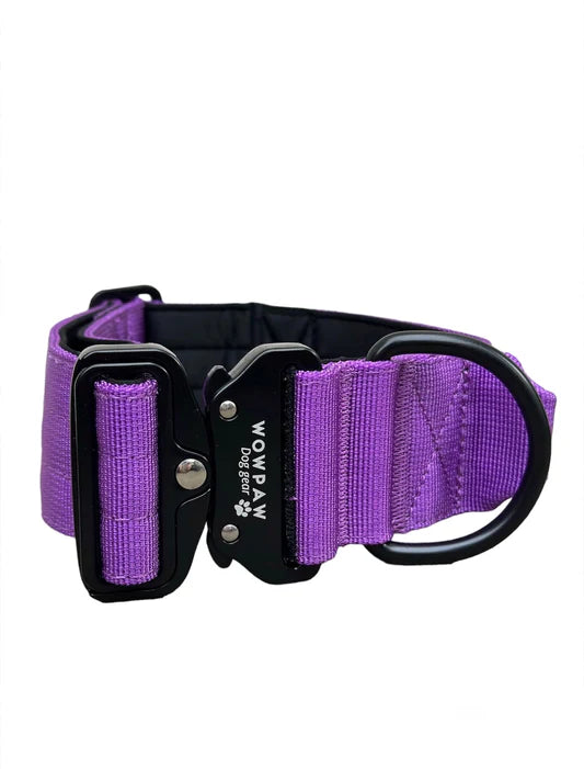 Tactical Halsband - lila 5cm