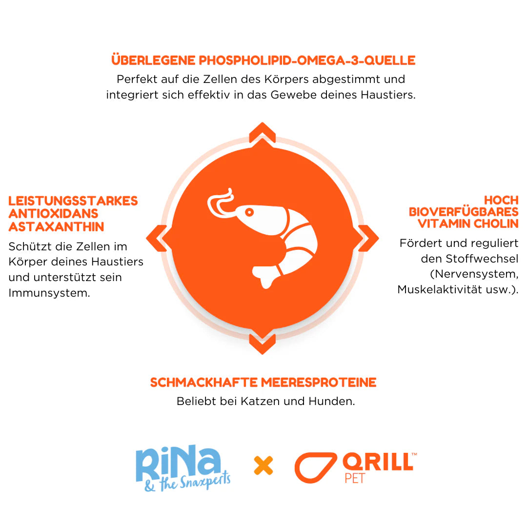 Superfood Riegelbox KRILL KICK