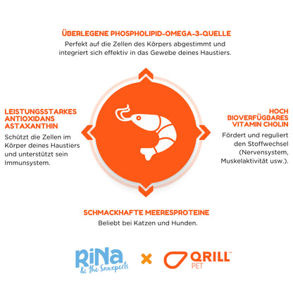 Superfood Riegelbox KRILL KICK