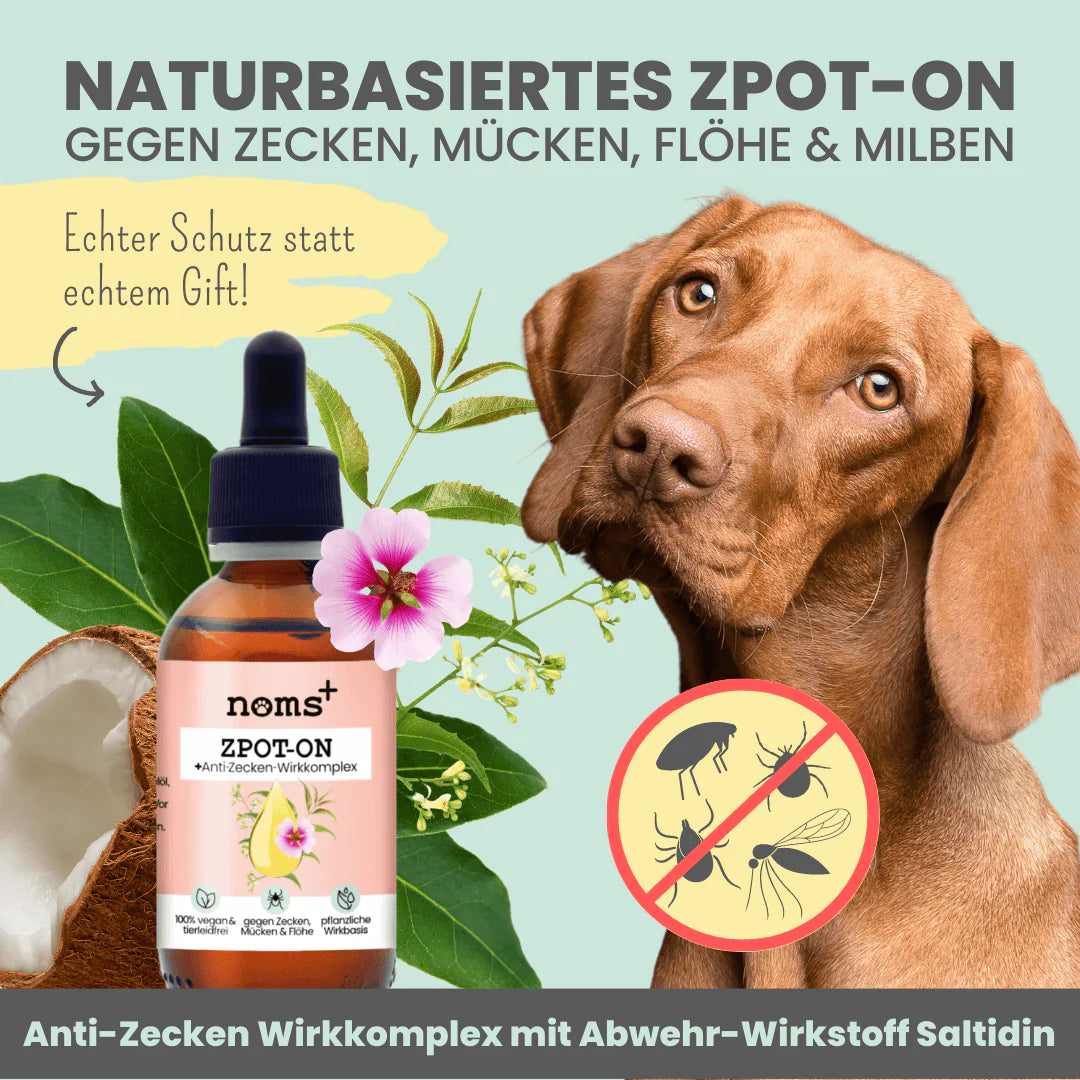 Zpot-on für Hunde 50ml